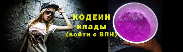 шишки Вяземский