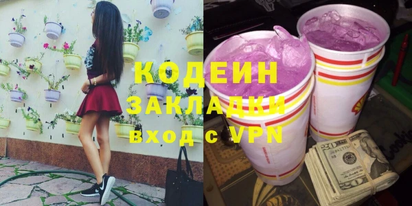 шишки Вяземский